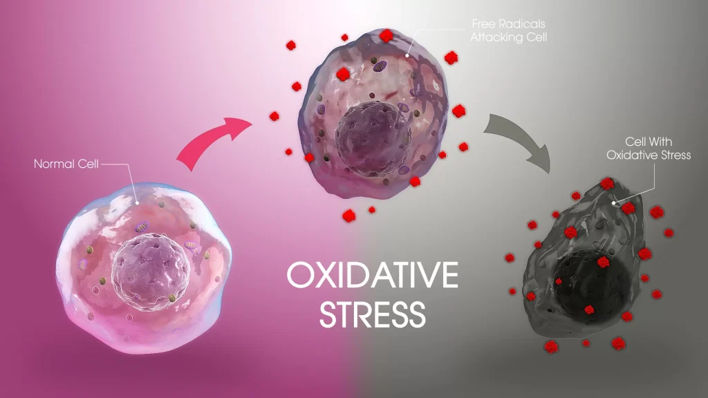 Oxidative stress